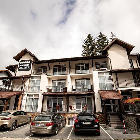 Artemis Villa Poiana Brasov Exterior photo