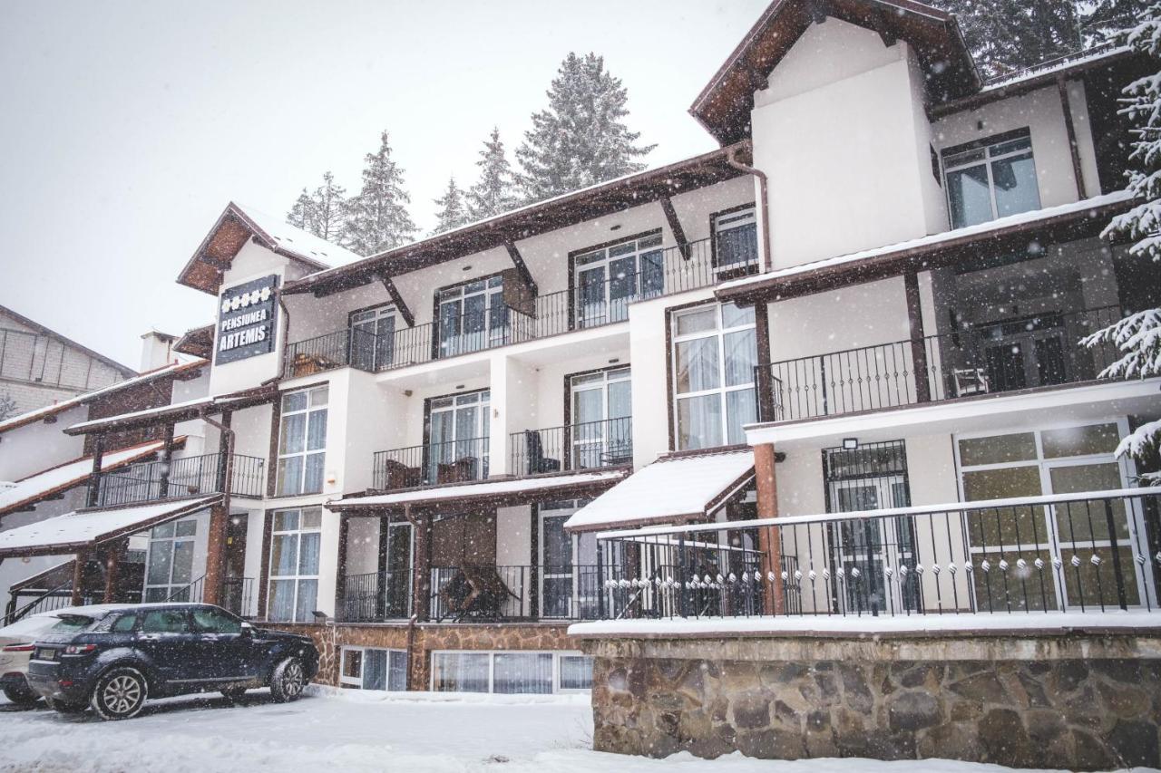 Artemis Villa Poiana Brasov Exterior photo