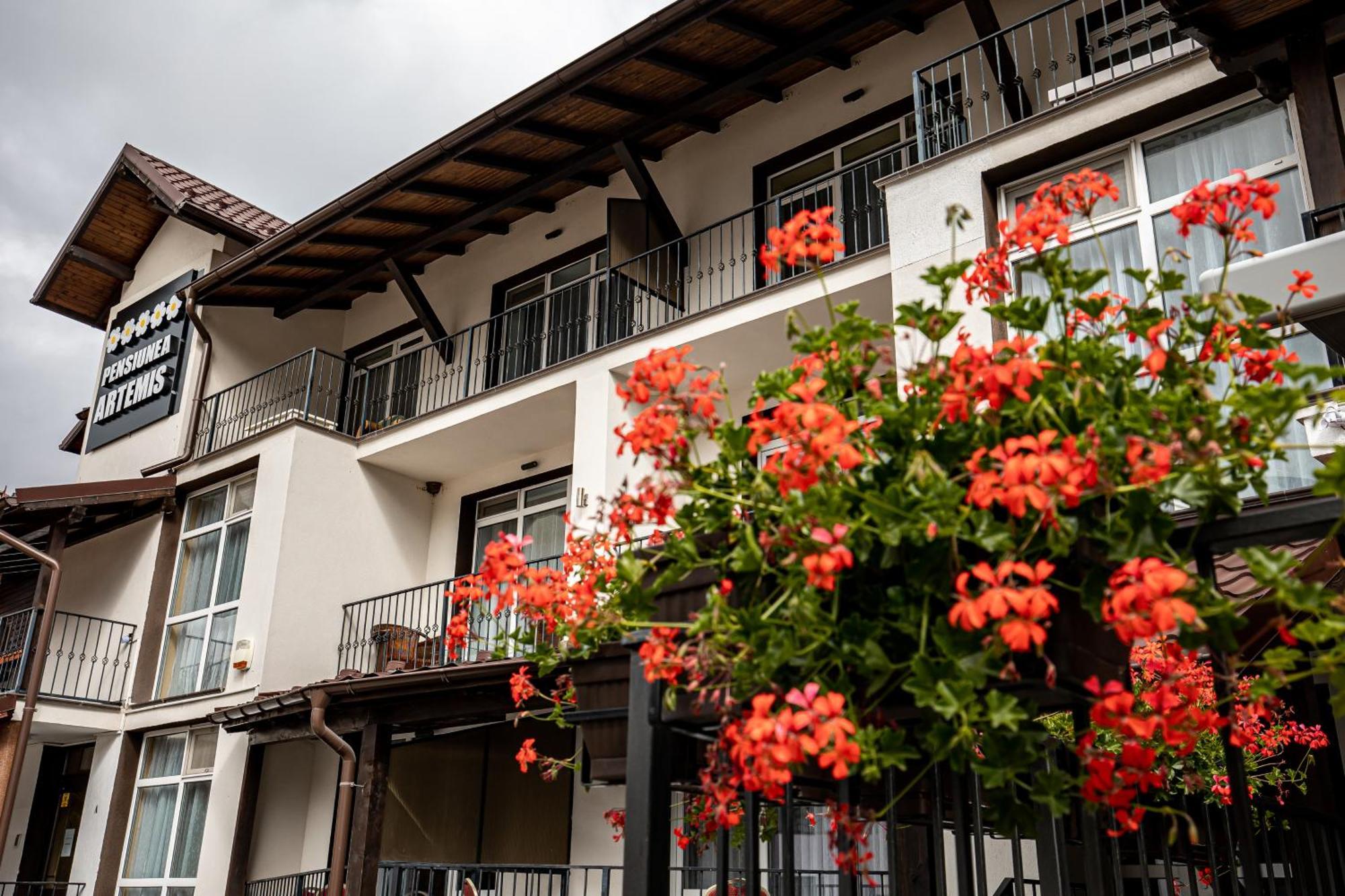 Artemis Villa Poiana Brasov Exterior photo