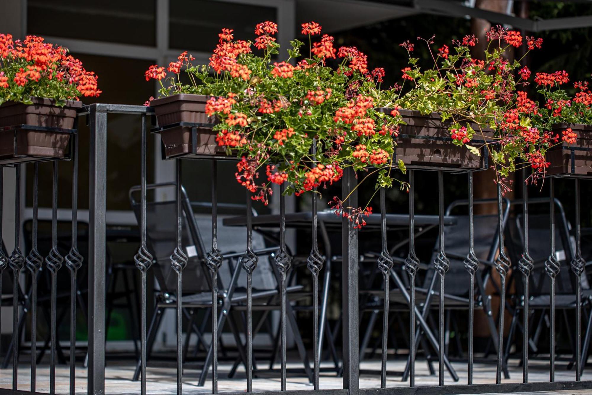 Artemis Villa Poiana Brasov Exterior photo