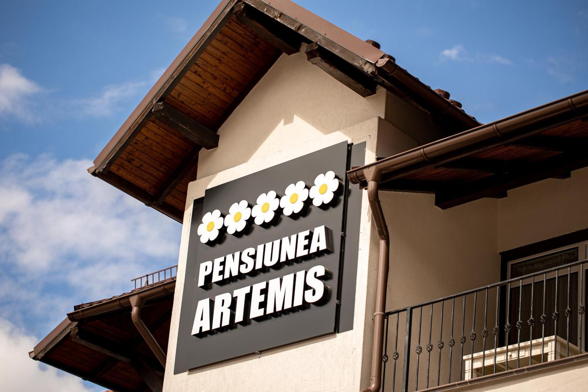 Artemis Villa Poiana Brasov Exterior photo