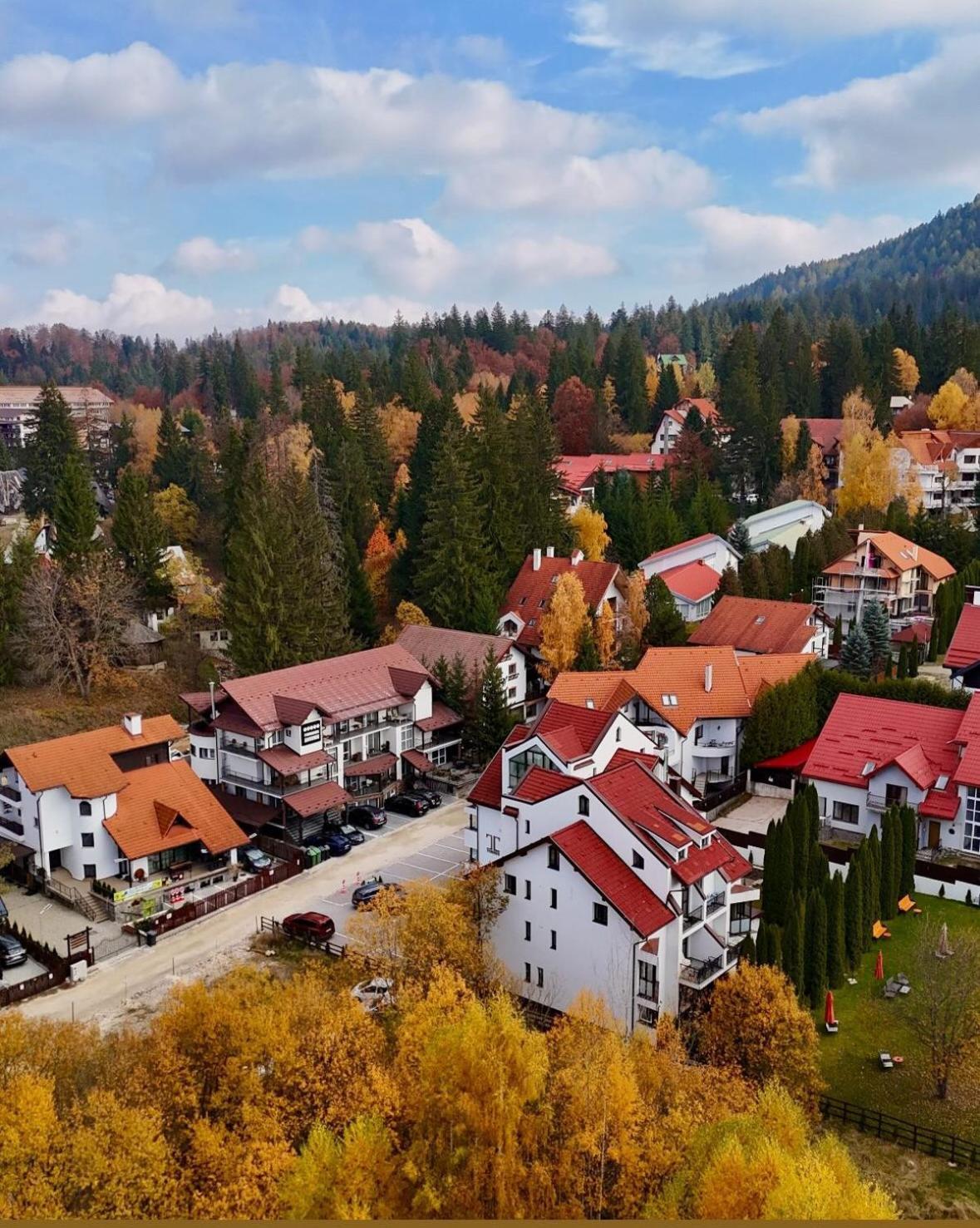 Artemis Villa Poiana Brasov Exterior photo