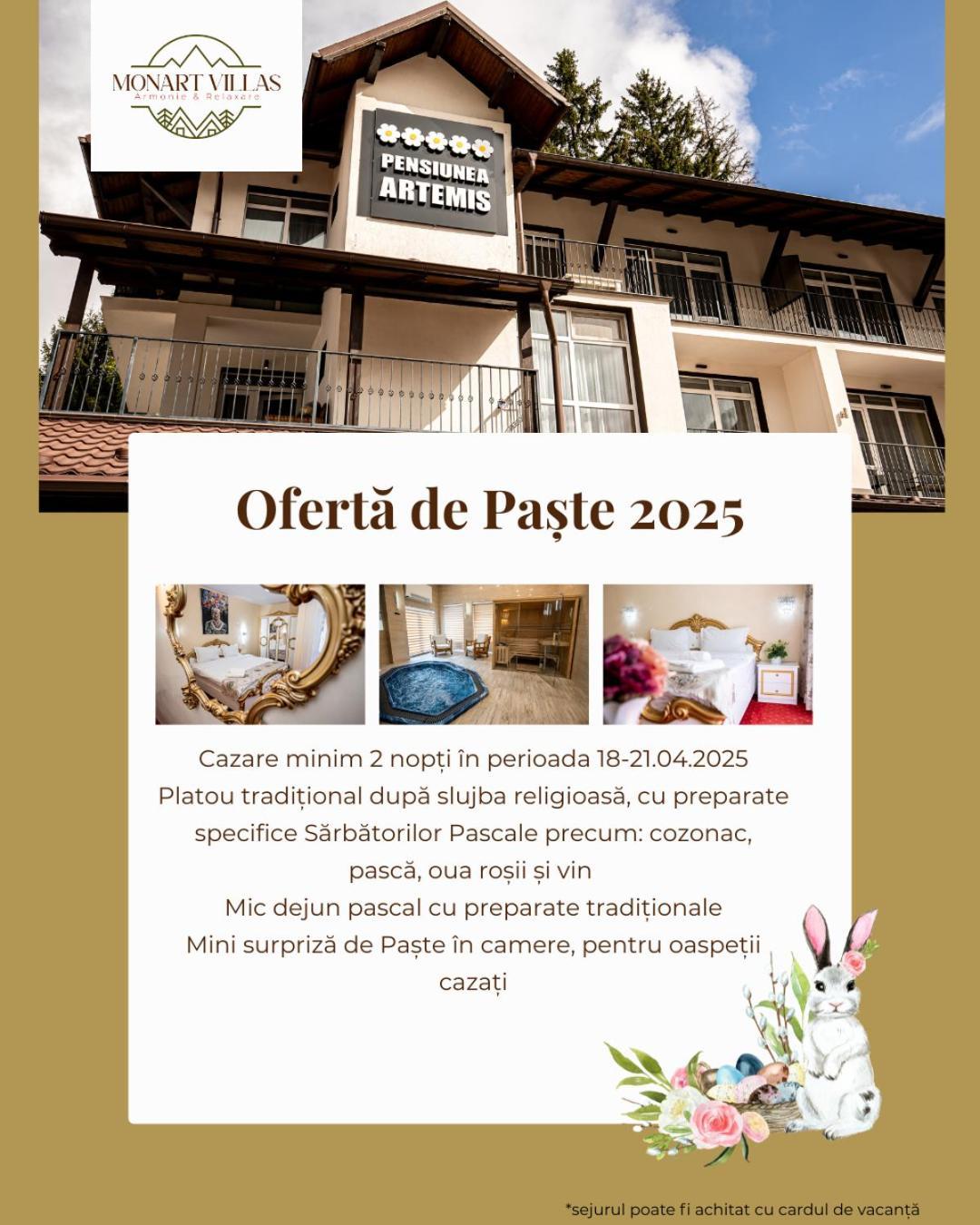 Artemis Villa Poiana Brasov Exterior photo
